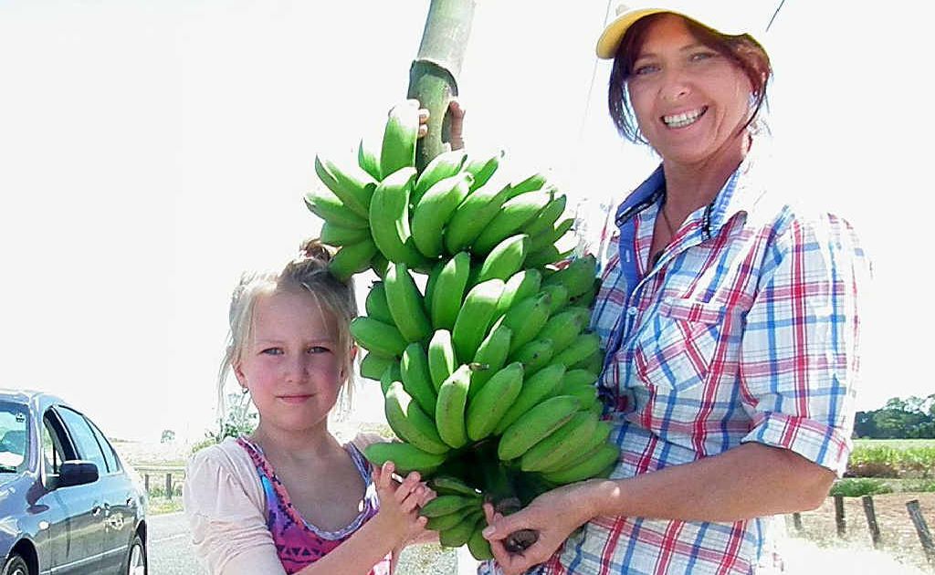 Bonita Doyle and daughter Carlie are thrilled Chapel Rd is open again so they can sell bananas from their farm.